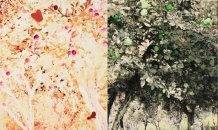 <br>© Four Seasons , Please # 6 , 2017 . Acrylic on canvas- 150 x 120 cm                                               
