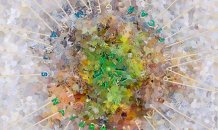 Alexandra Mesquita <br>Germinado ramifico naturalmente, 2012 - Técnica mista - 125 x 125 cm 