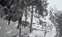 <br>© Paula Rito | arborescemos | Tinta da china sobre papel - 24 x 32 cm 